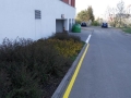 n008.jpg