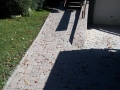 dl003.jpg