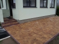 dl013.jpg