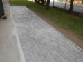 dl029.jpg