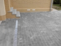 dl039.jpg